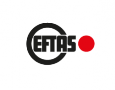 EFTAS Remote Sensing Transfer of Technology GmbH