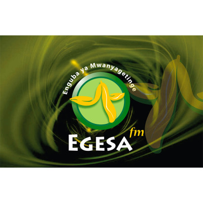 Egesa FM Royal Media Services Other from Kenya experience with WB Telecommunications sector DevelopmentAid