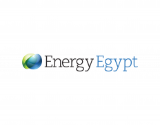 Egyptian Electricity Transmiss