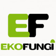 Ekofungi