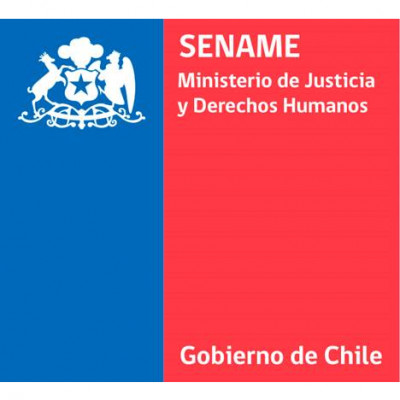 El Servicio Nacional de Menores (Sename) / The National Service for Minors (Sename)