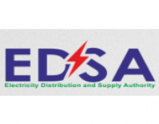 Electricity Distribution and Supply Authority