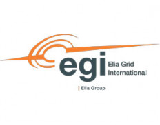 Elia Grid International GmbH
