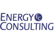 Energy Consulting Group