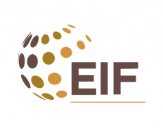 Enhanced Integrated Framework (EIF)