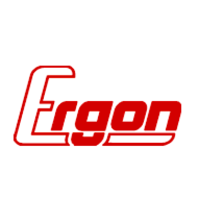 Ergon Srl
