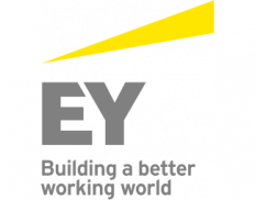 EY - Ernst & Young (USA)
