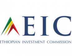 Ethiopian Investment Commission (EIC)