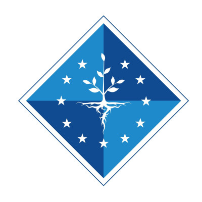 E-ARC - Centrul Euro-Atlantic 