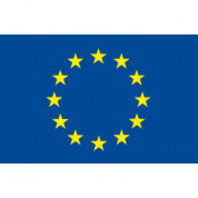 European Union Election Observation Mission to the Republic of Zimbabwe