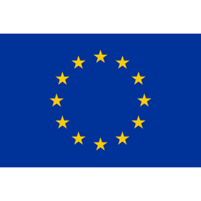 European Union Election Observ