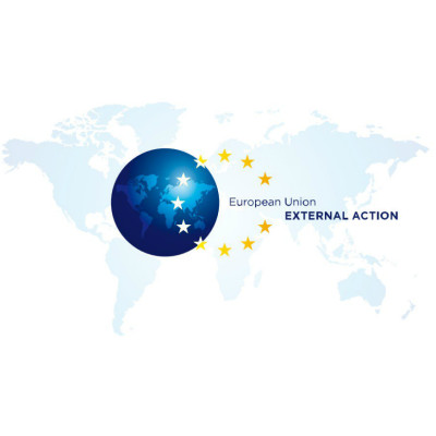 European Union Special Representative for Central Asia