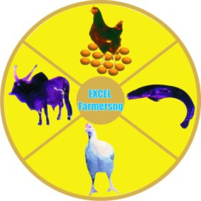 EXCEL-FARMERS FEEDS MILLS COMP