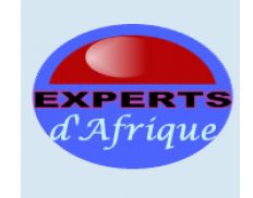 Experts d’Afrique INC