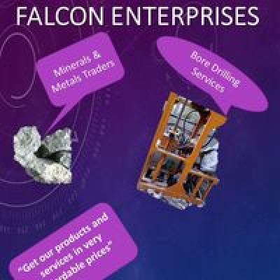Falcon Business Enterprise