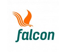 Falcon Corporation Limited