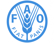 Food and Agriculture Organizat