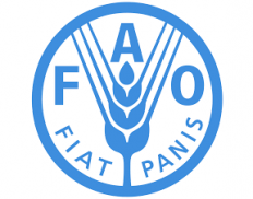 Food and Agriculture Organization of the United Nations (UK)