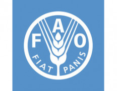 Food and Agriculture Organizat
