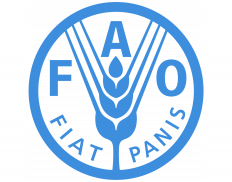 Food and Agriculture Organization (Zimbabwe)