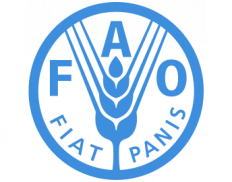FAO Lesotho