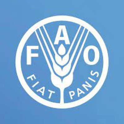FAO Micronesia - Food and Agriculture Organization (Micronesia) avatar