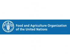 FAO - Food and Agriculture Organization of the United Nations (Timor Leste)