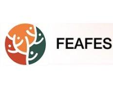 FEAFES- Confederación Española de Agrupaciones de Familiares y Personas con Enfermedad Mental