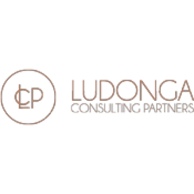 Ludonga Consulting Partners