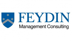 FEYDIN Management Consulting