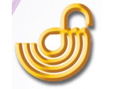 Filiz Matbaacılık Sanayi ve Ticaret Ltd. Şti