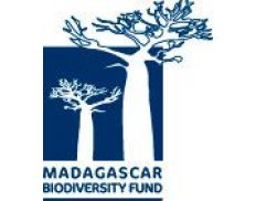 Recrutement d'un Consultant In