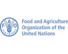 Food and Agriculture Organization (Tajikistan)