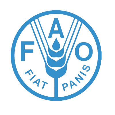 Food and Agriculture Organization (FAO) Comoros