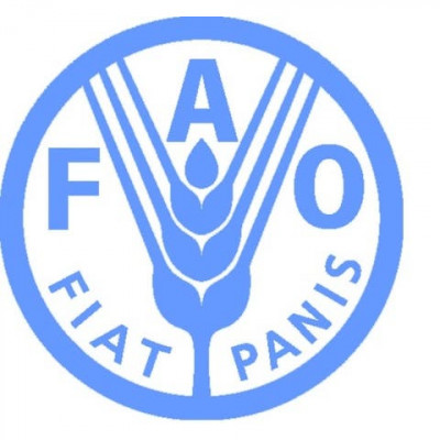 Food and Agriculture Organization Liaison Office with the European Union and Belgium