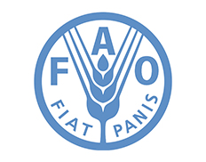 Food and Agriculture Organization (HQ)