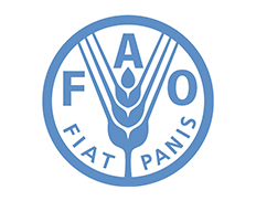 Food and Agriculture Organization (HQ), World Food Programme