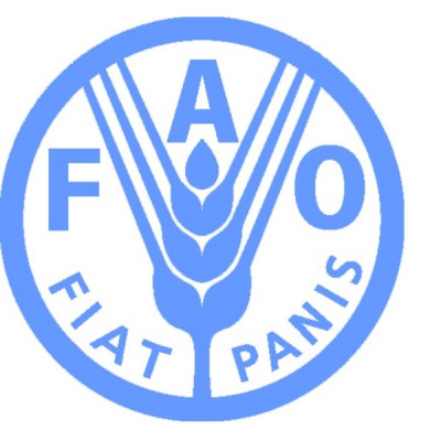 Food and Agriculture Organization (Rwanda)