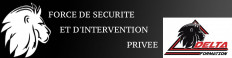 Force de sécurité et d'intervention privée (FSIP)