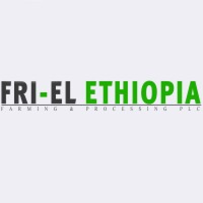 Fri-EL Ethiopia Farming and Processing PLC