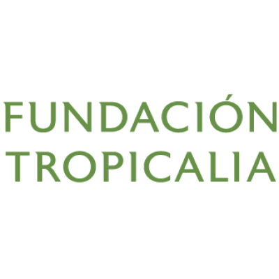 Fundación Tropicalia / Tropicalia Foundation
