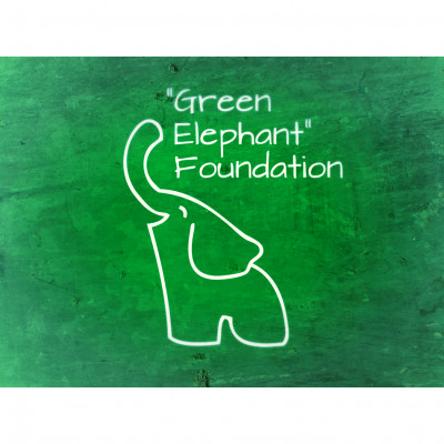 Fundacja "Zielony Słoń"