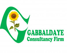 Gabbaldaye Consultancy