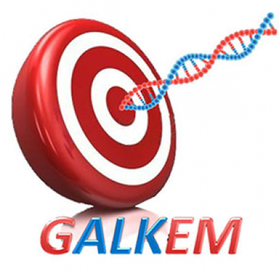 Galkem S.r.l.