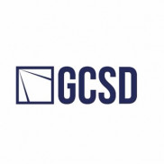 Center for Strategy and Develo