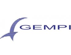 GEMPI – Gestão Empresarial e Informática Ltda.