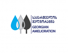 Georgian Amelioration LTD