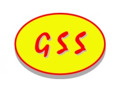 GeoSoft Systems