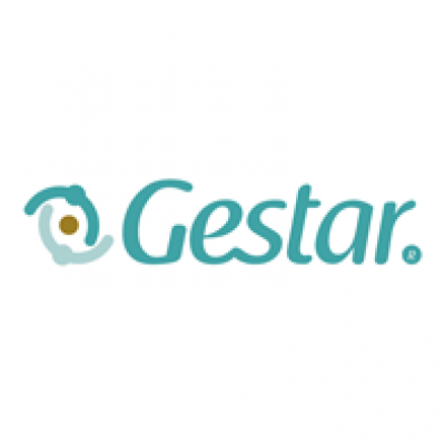 Gestar Consultoría S.A