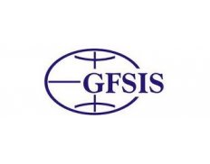 GFSIS - Georgian Foundation for Strategical and International Studies